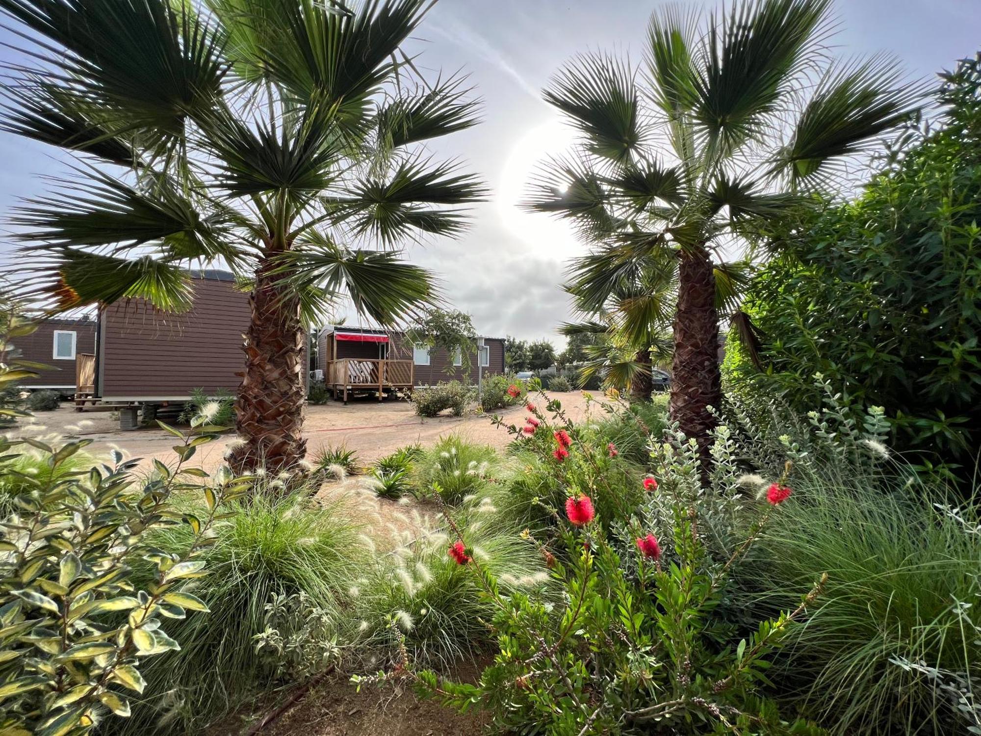Camping Resort Els Pins Malgrat de Mar Dış mekan fotoğraf