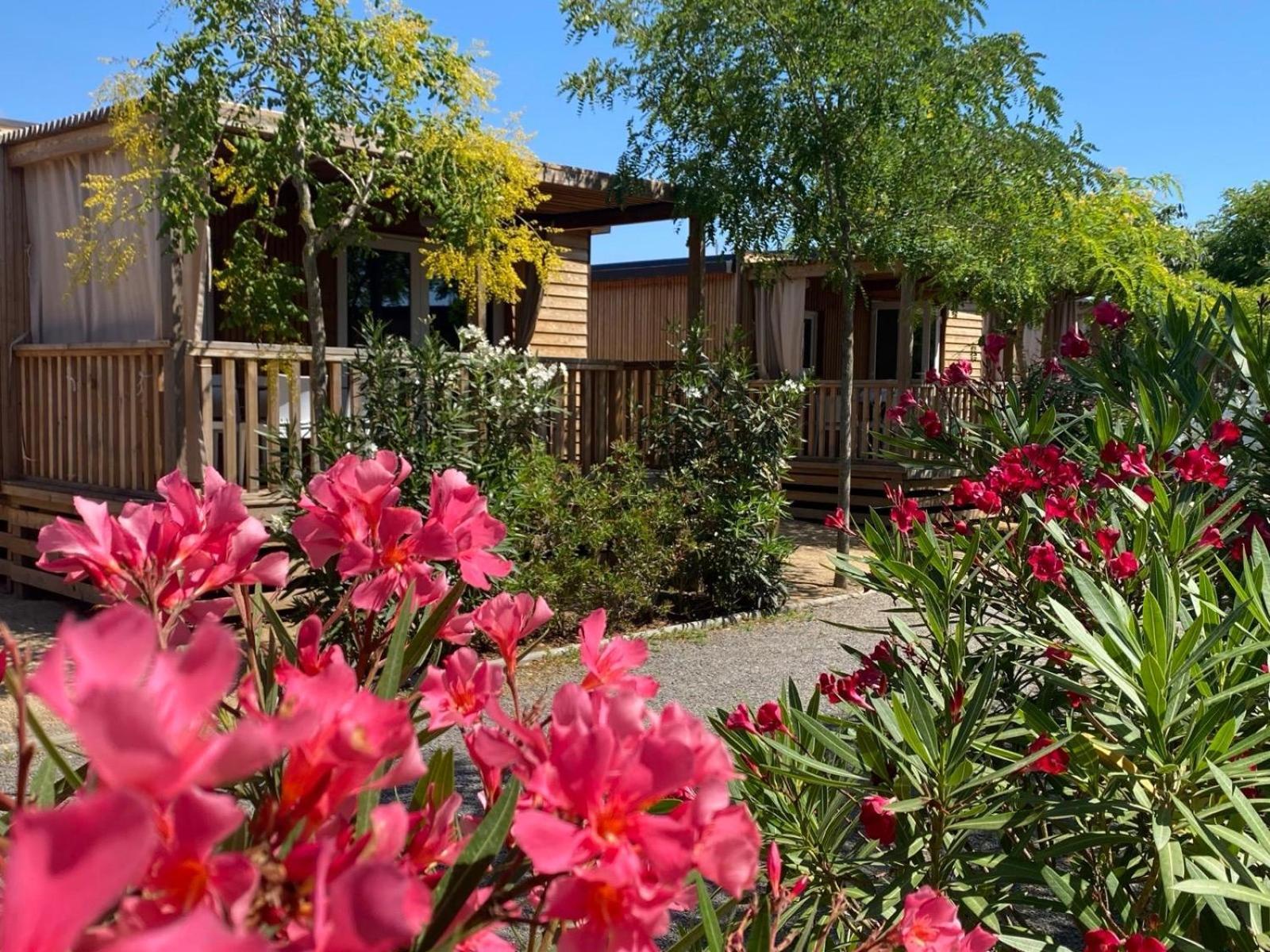 Camping Resort Els Pins Malgrat de Mar Dış mekan fotoğraf